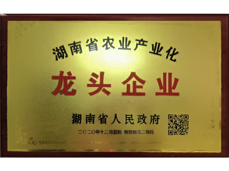 岳陽市漁之源食品有限公司,岳港漁都,洞庭魚港,散稱系列,田螺系列,臭豆腐加工，香豆腐加工，烤脖加工，魚仔,鴨排加工、雞丁加工代加工